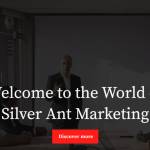 SilverAnt Marketing Profile Picture