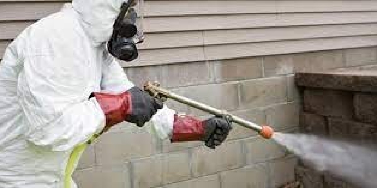 How Termite Control Services Shield Your Home?