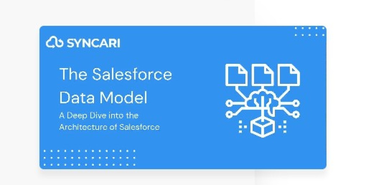 Importance Of Salesforce Data Model