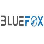 bluefoxto Profile Picture
