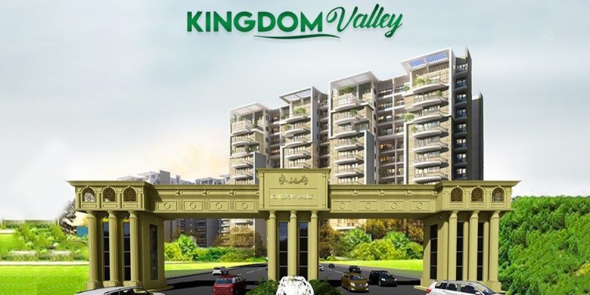 Kingdom Valley's Commercial Avenues: A Hub of Business and Leisure