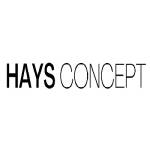 haysconcept Profile Picture