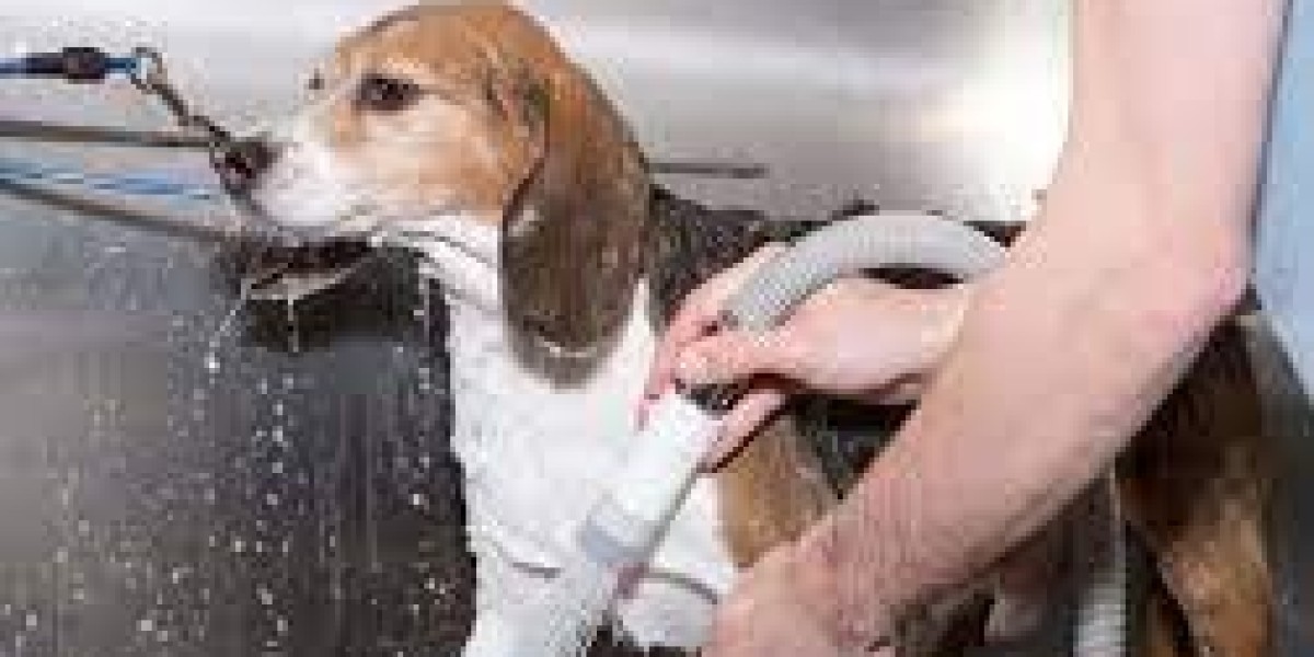 The Art of Professional Dog Grooming: A Complete Guide