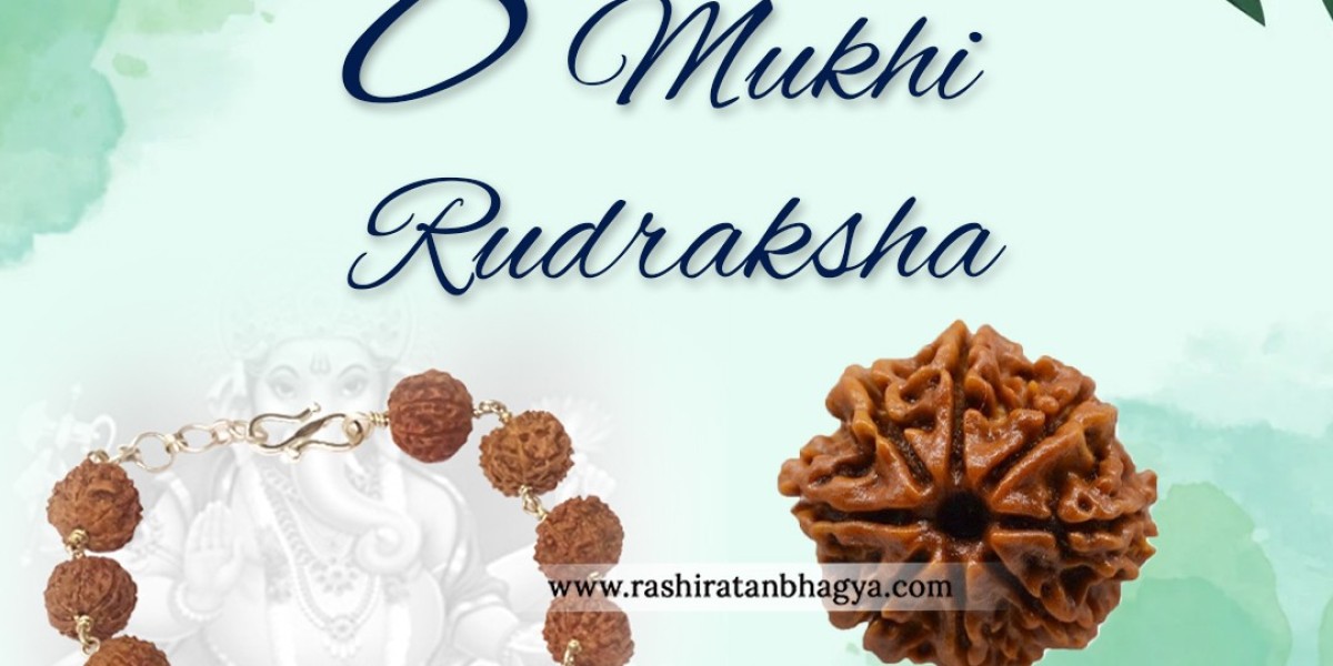Shop Certified 8 Mukhi Rudraksha Online at The Best Price