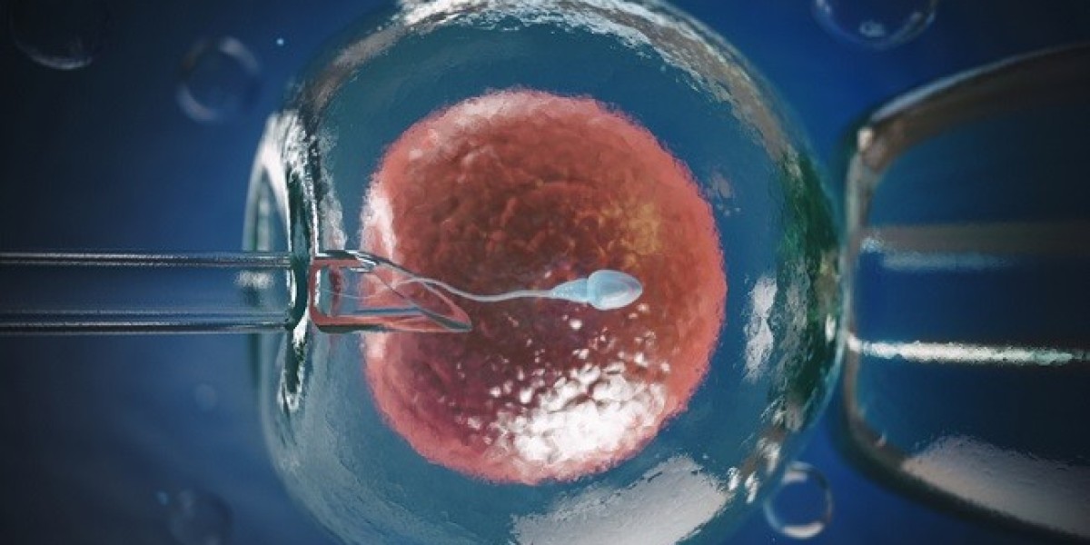 Unveiling the Best IVF Doctor in India