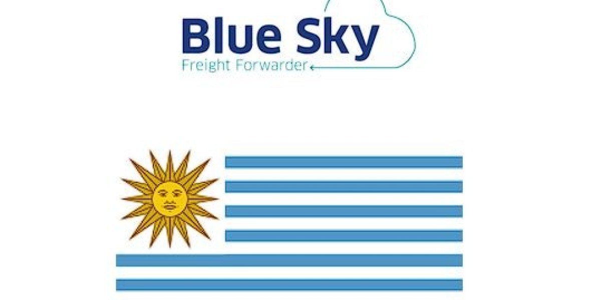Blue Sky Logistics Uruguay - freigth forwarder
