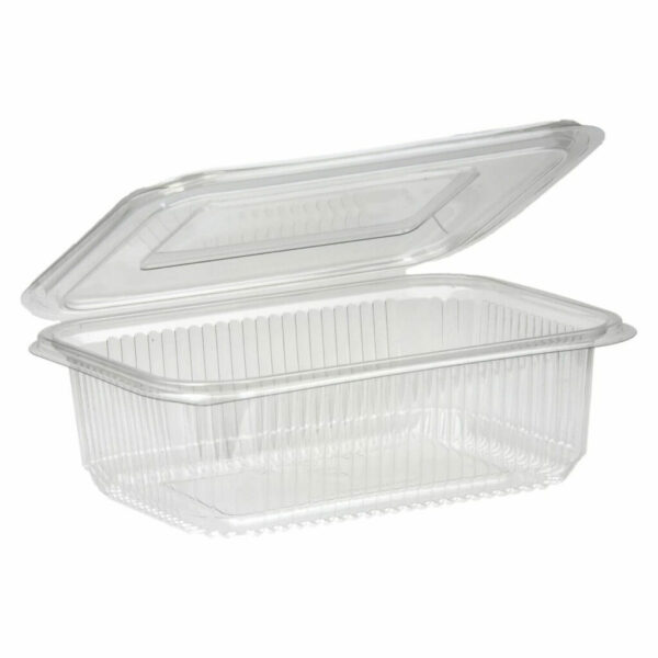 Food Salad Containers for Fresh Takeaways | FreshPack Solutions