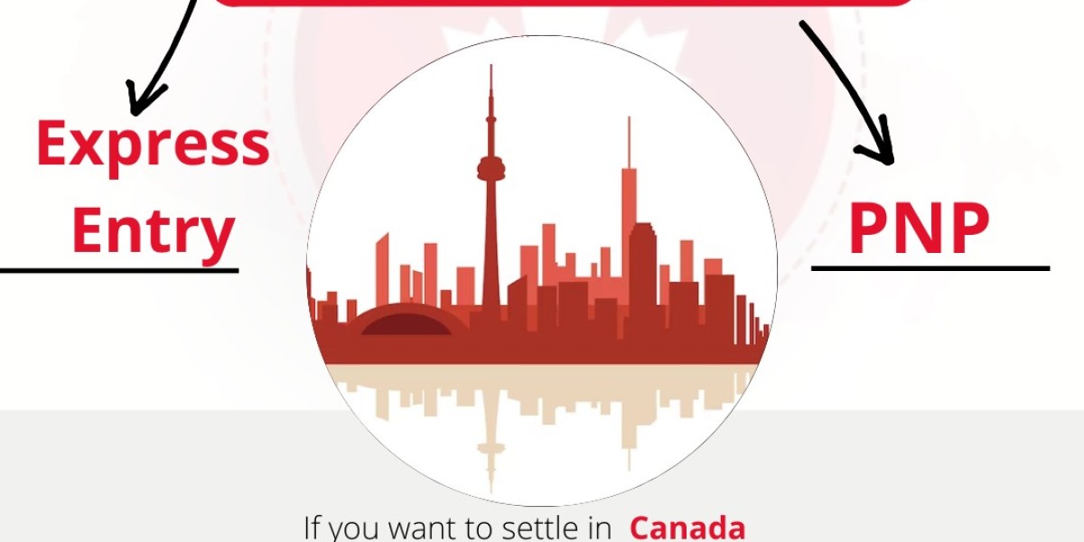 Navigating the Canadian Dream: Your Guide to a Seamless Visa Application Process with Wise Advice Immigration