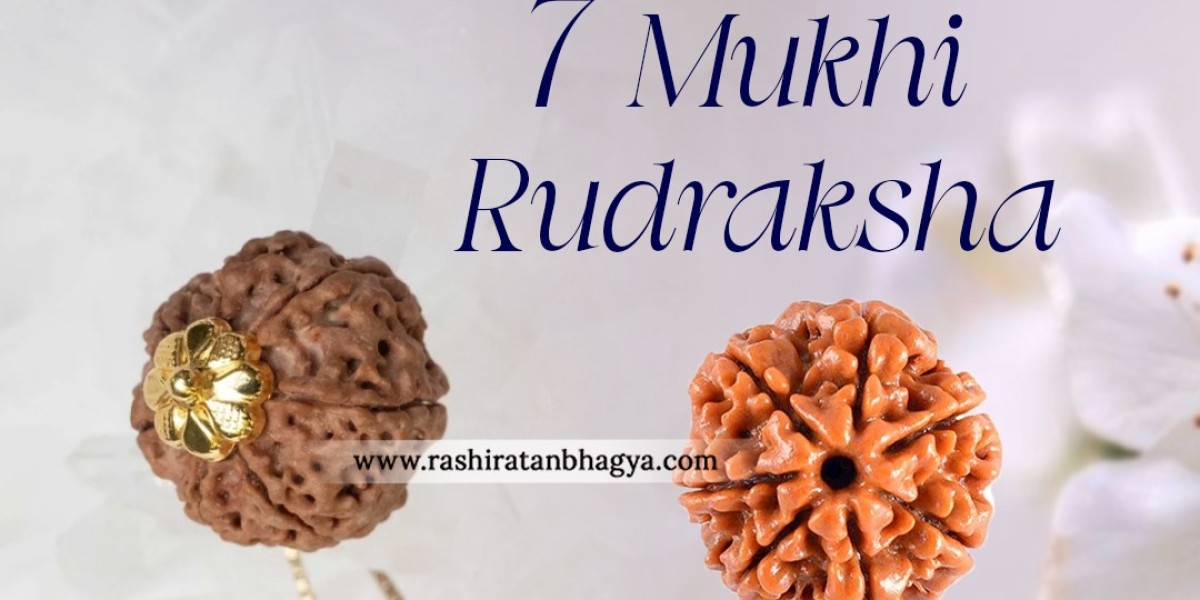 Buy 7 Mukhi Rudraksha Best price Online at Rashi Ratan Bagya