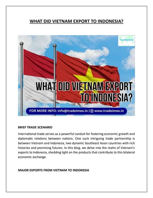 WHAT DID VIETNAM EXPORT TO INDONESIA.pdf