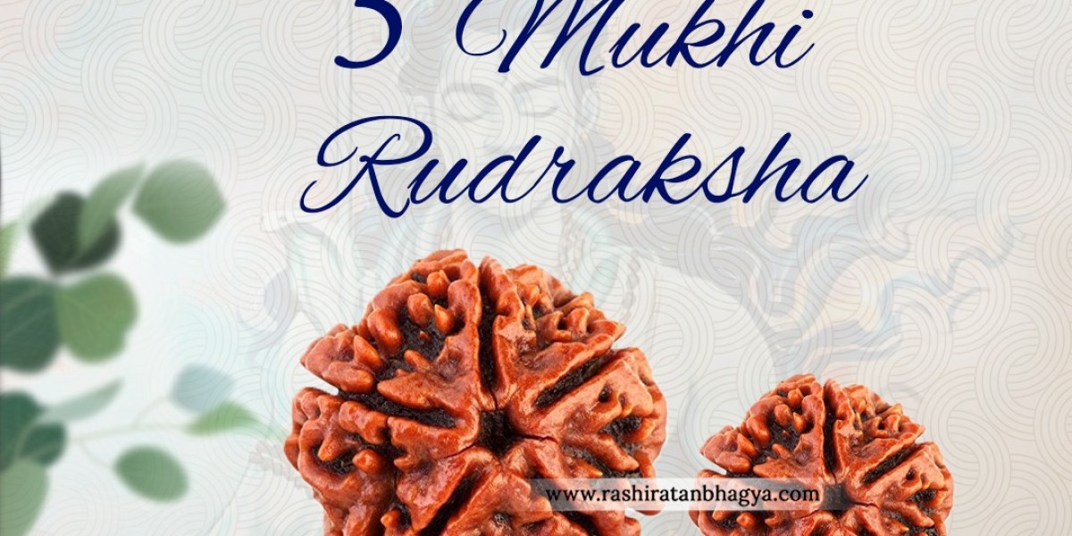 Buy 5 Mukhi Rudraksha Online at Rashi Ratan Bagya