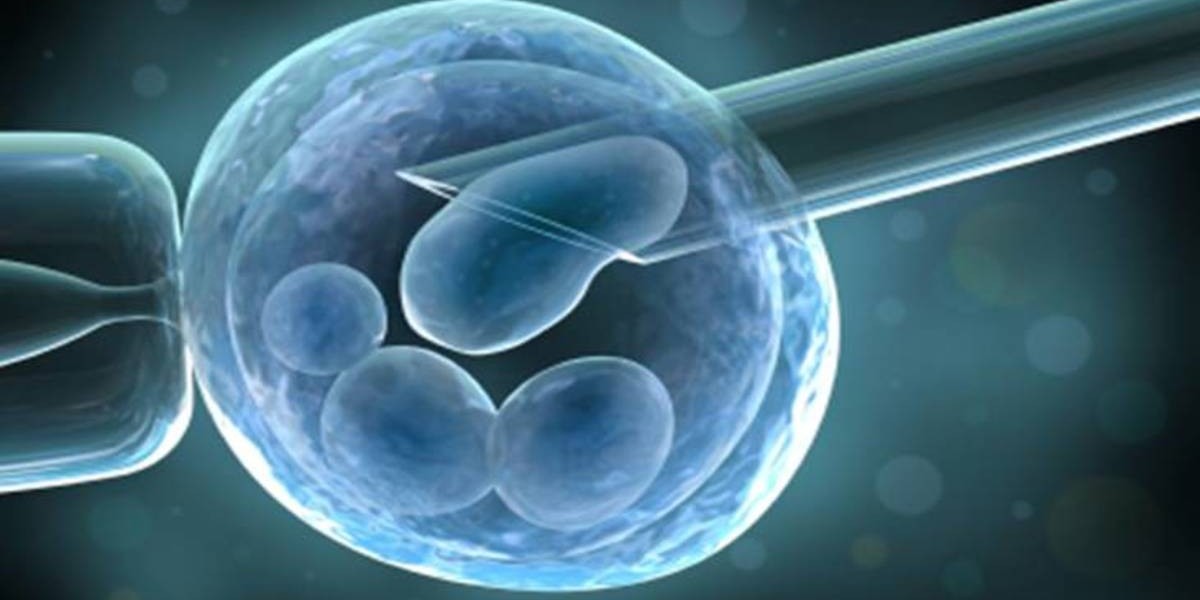 Personalized Cell Therapy Market is Estimated To Witness High Growth Owing To Increasing Demand for Personalized Treatme