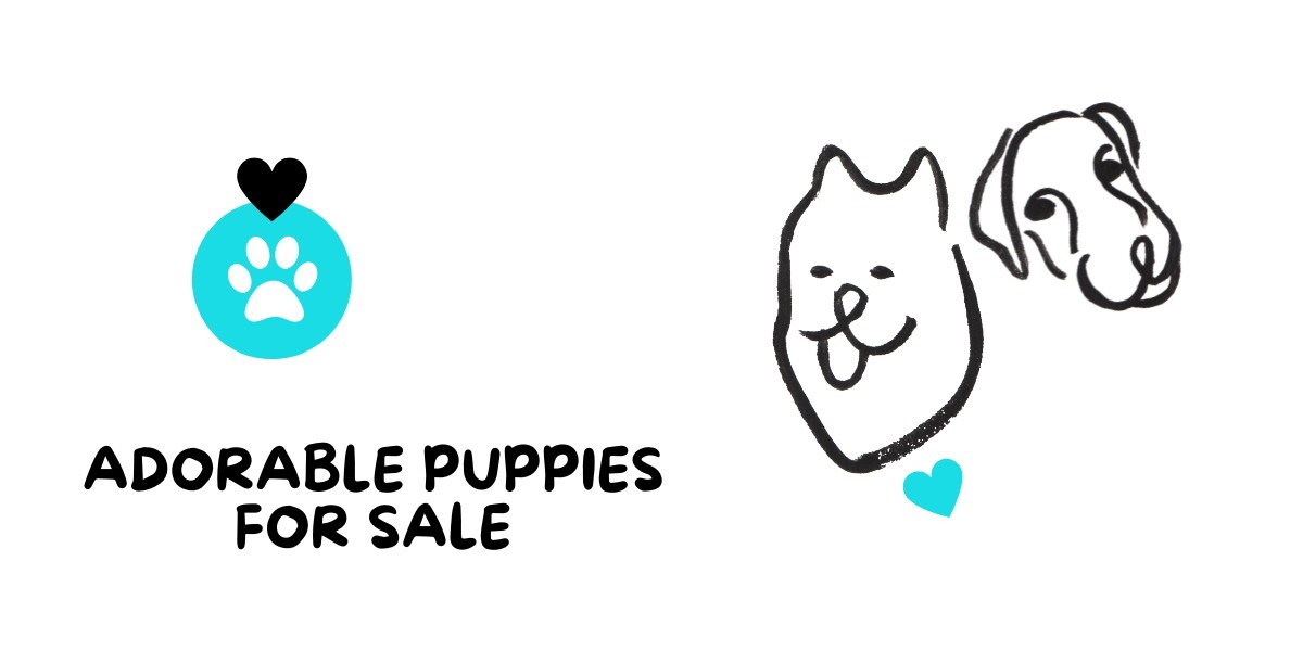 Adorable Puppies for Sale in Victoria: Find Your Furry Companion