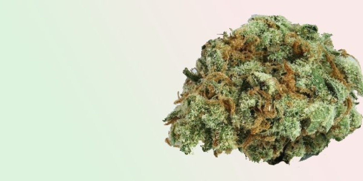 Exploring The Highs Of Cannabis In Canada: Ordering Online Made Easy!