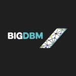 BIGDBM Profile Picture
