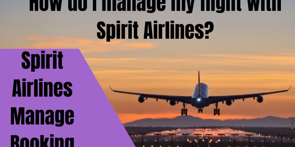 How can you manage your booking with Spirit Airlines?
