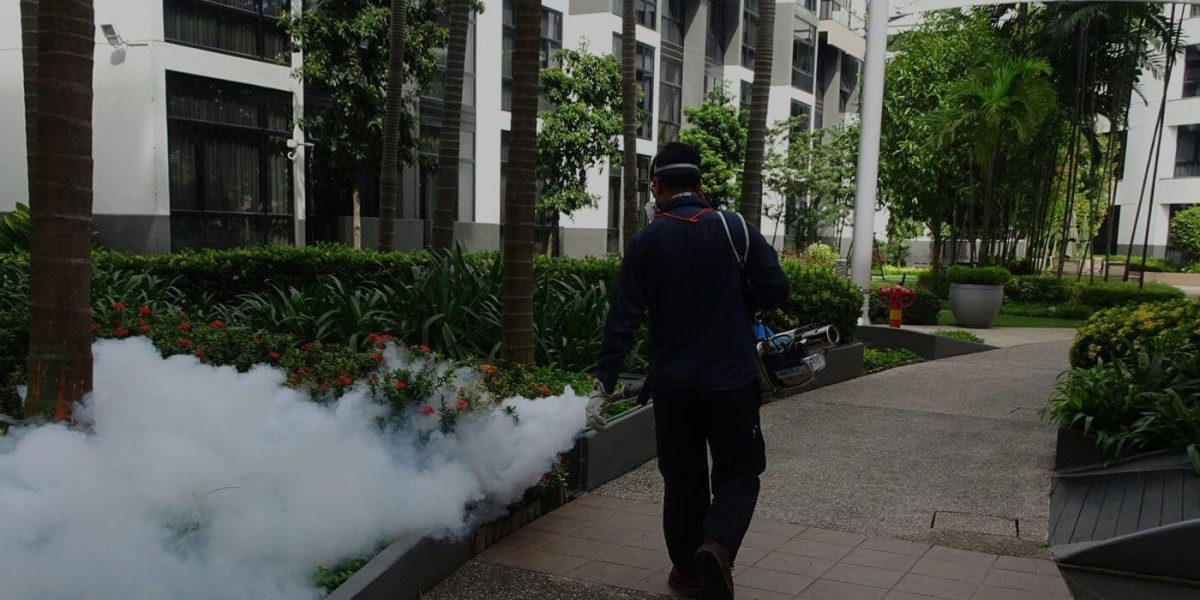 Effective Bed Bug Control Singapore with Ecospace Pest Management