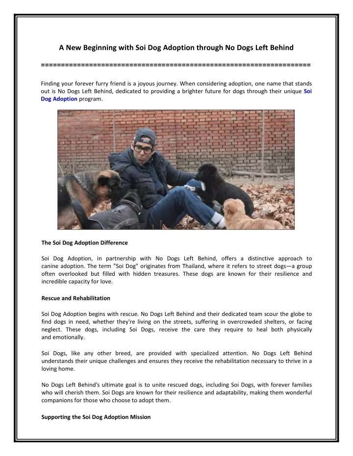 PPT - A New Beginning with Soi Dog Adoption through No Dogs Left Behind PowerPoint Presentation - ID:12529434