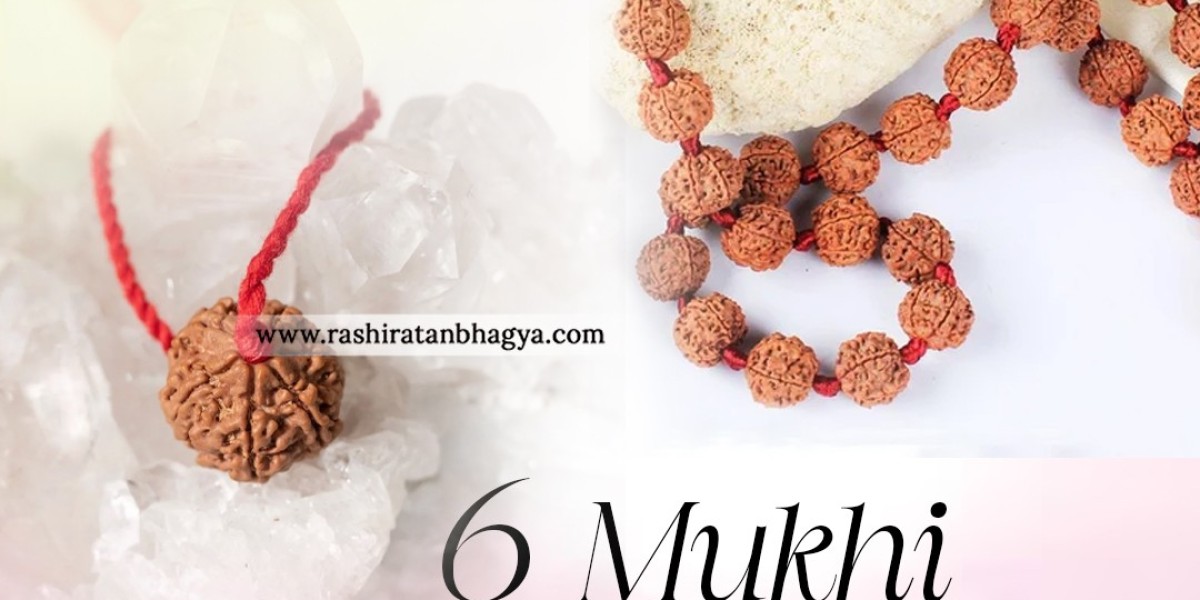 Buy Natural 6 Mukhi Rudraksha from Rashi Ratan Bhagya