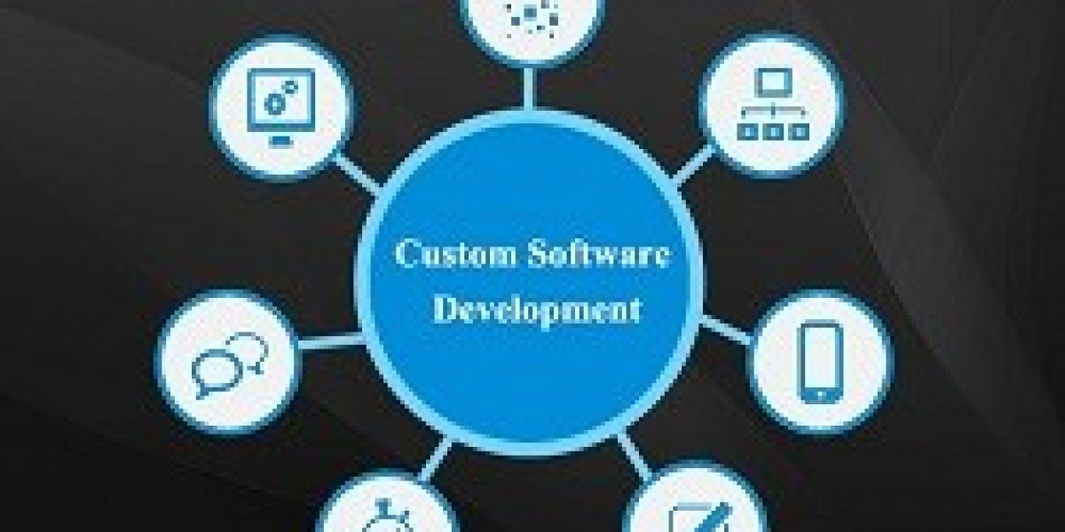 Custom Software Development Market Expands as Organizations Prioritize Data-driven Decisions