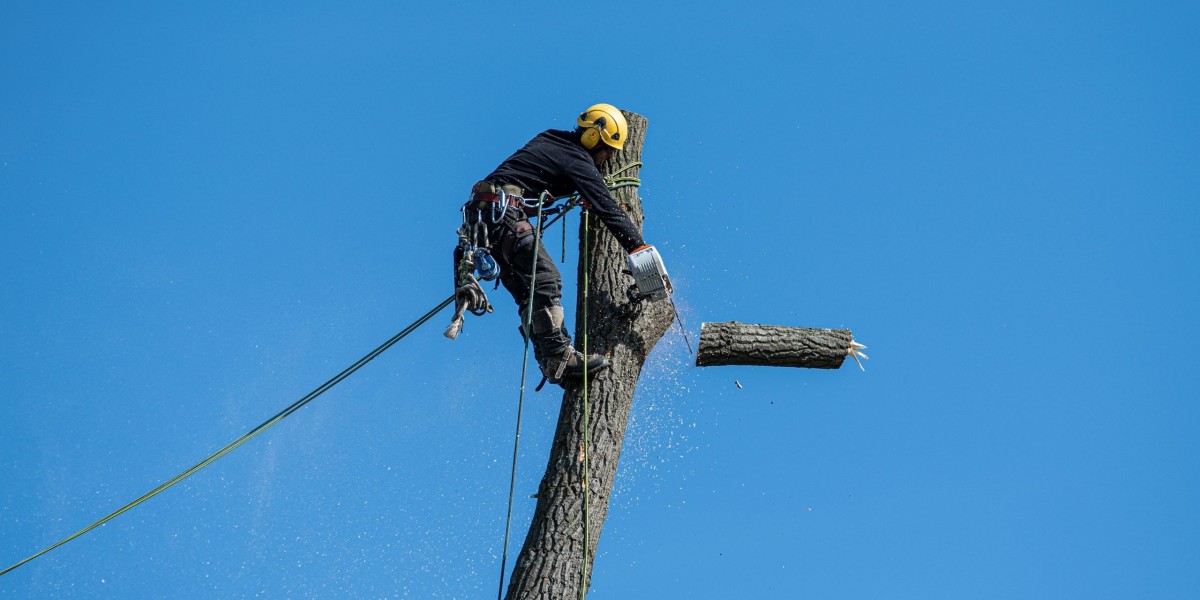 Trimming with Precision: Tree Pruning in Werribee Guide