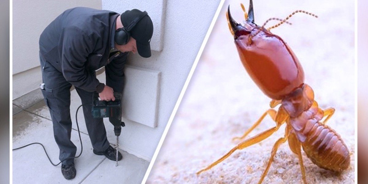 The Importance of Regular Termite Inspections and Control Services