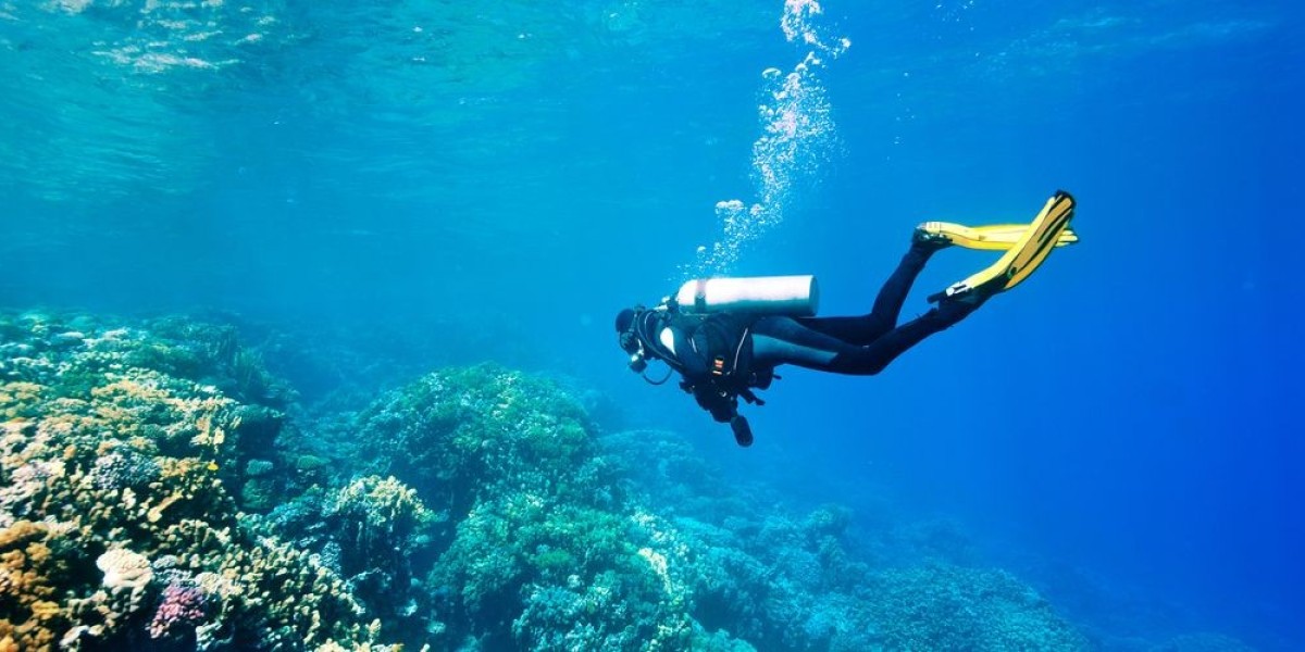 Diving into the Depths: A Comprehensive Beginner's Guide to Scuba Diving in Qatar