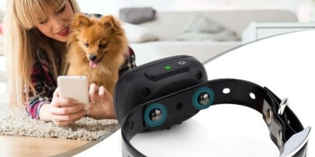 Affordable Shock Collar For Small Dogs