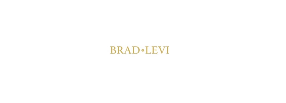Brad Levi Jewelry Cover Image