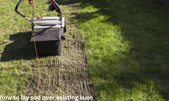 How To Lay Sod Over Existing Lawn: Robert Complete Care