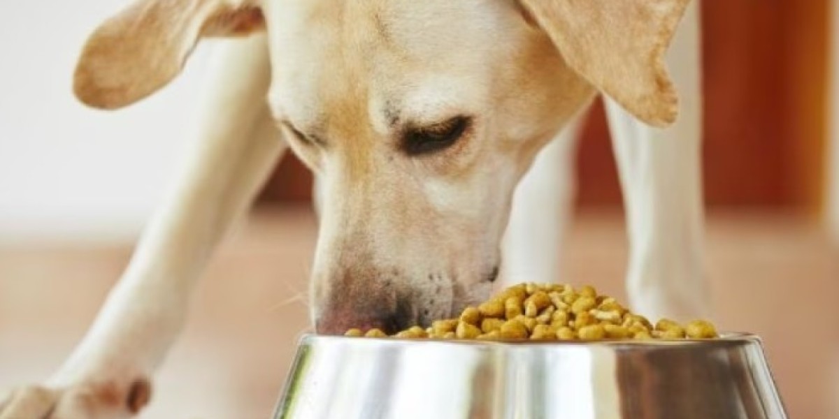 Nutrition in Every Bite: Understanding Organic Pet Food Options