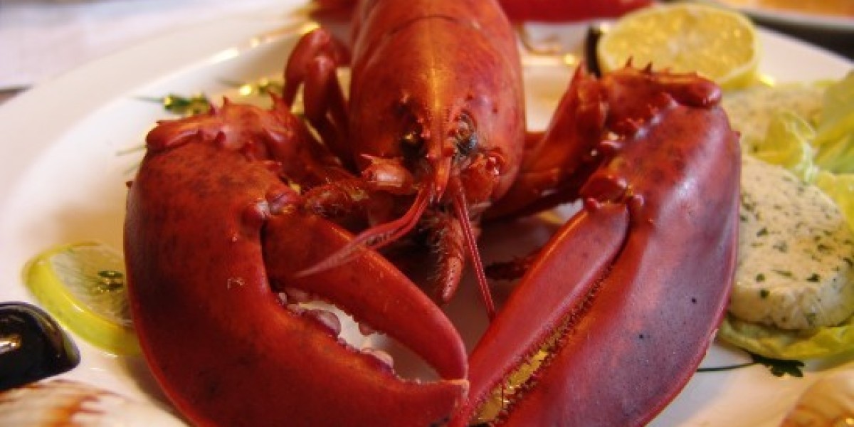 Lobster Market Report Significant Highlights, Statistical & Historical Data and Forecast 2023-2028