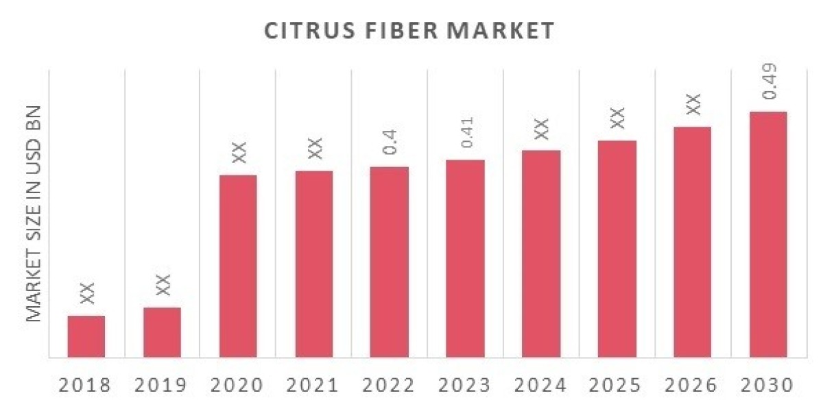 Citrus Fiber Market Overview: Global Industry Analysis by Size, Share, Growth, Sourcing Strategy, Scope, Demand and Fore