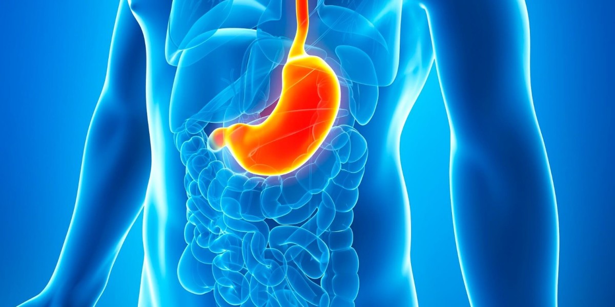 Gastroparesis Drugs Market Size, Share, Growth, Analysis, Trends and Forecast 2023 - 2030