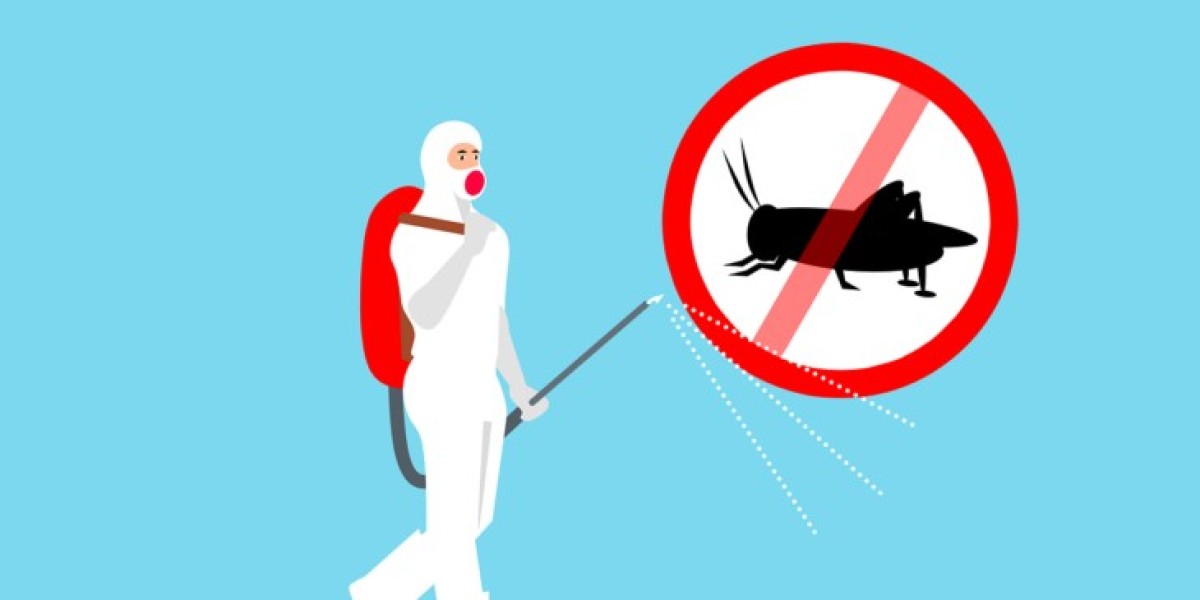 Safe and Effective Pest Control Management in Singapore