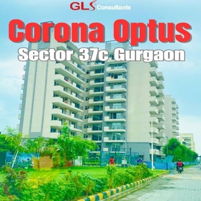 Corona Opt Profile Picture
