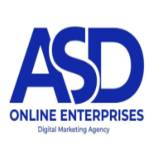 ASD Online Enterprises Profile Picture