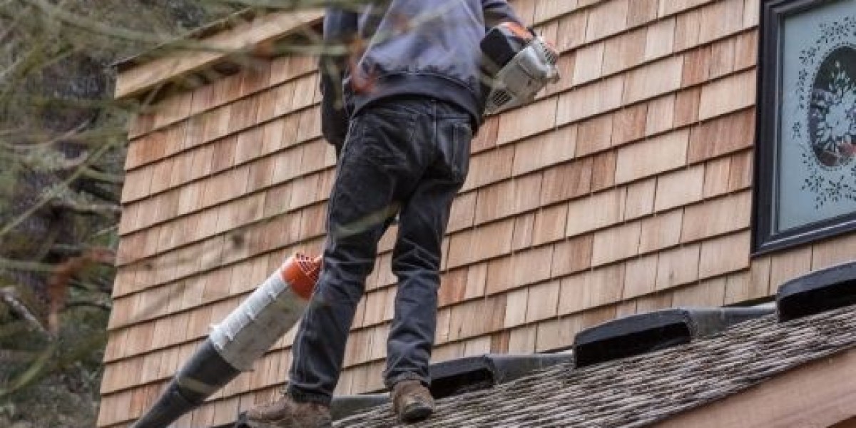 South Florida's One-Stop Shop for Roof Cleaning Services