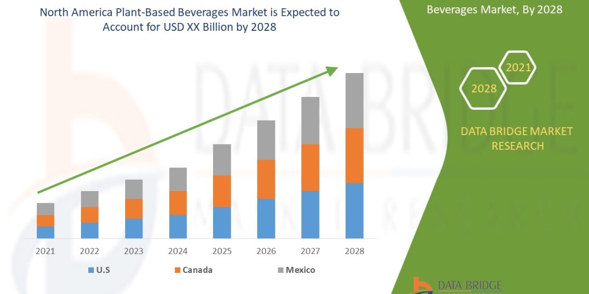 North America Plant-Based Beverages Market Business idea's and Strategies forecast 2028