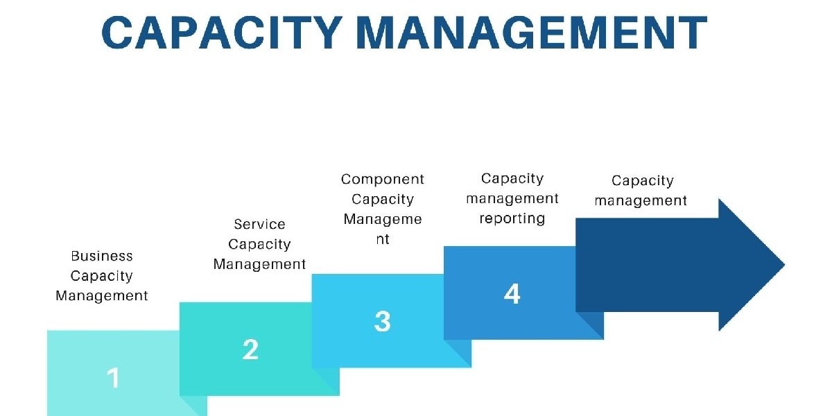 Capacity Management Market Competitive Analysis Report, Demand and Outlook, 2030