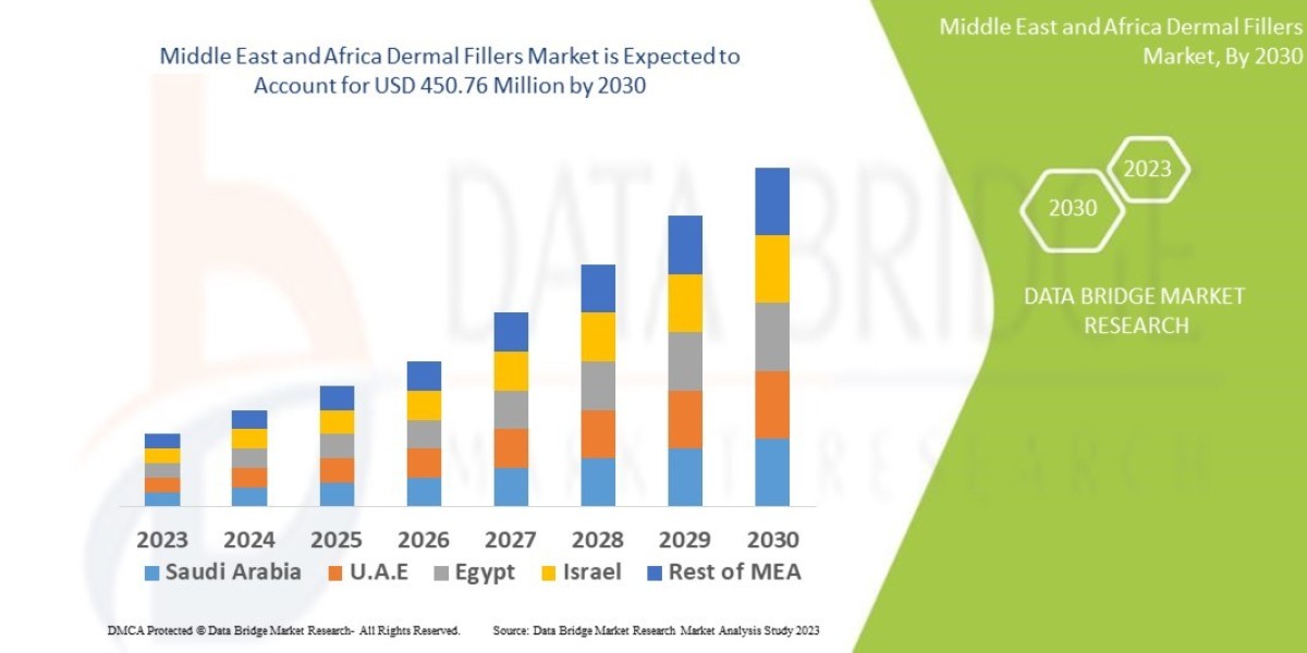Middle East and Africa Dermal Fillers Market   is estimated to grow at a Potential Growth Rate of 10.3% by 2030