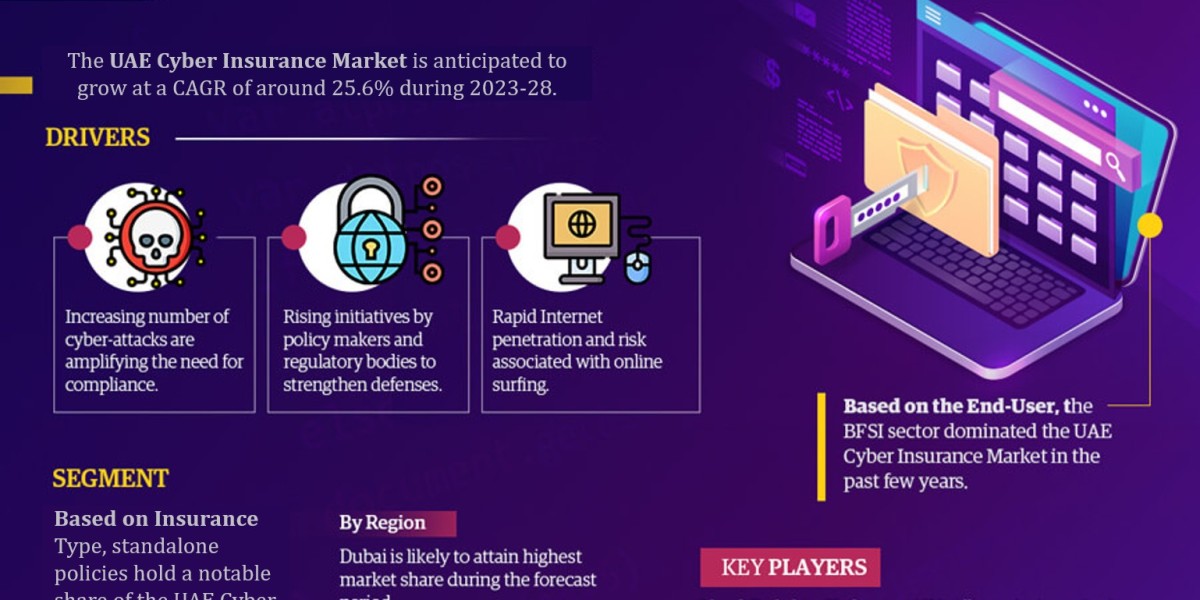 Latest Report UAE Cyber Insurance Market 2028, Industry Demand, Trends, Challenges, and Investment Opportunity