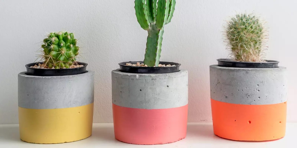 Customize Your Green Space with Personalised Plant Pots