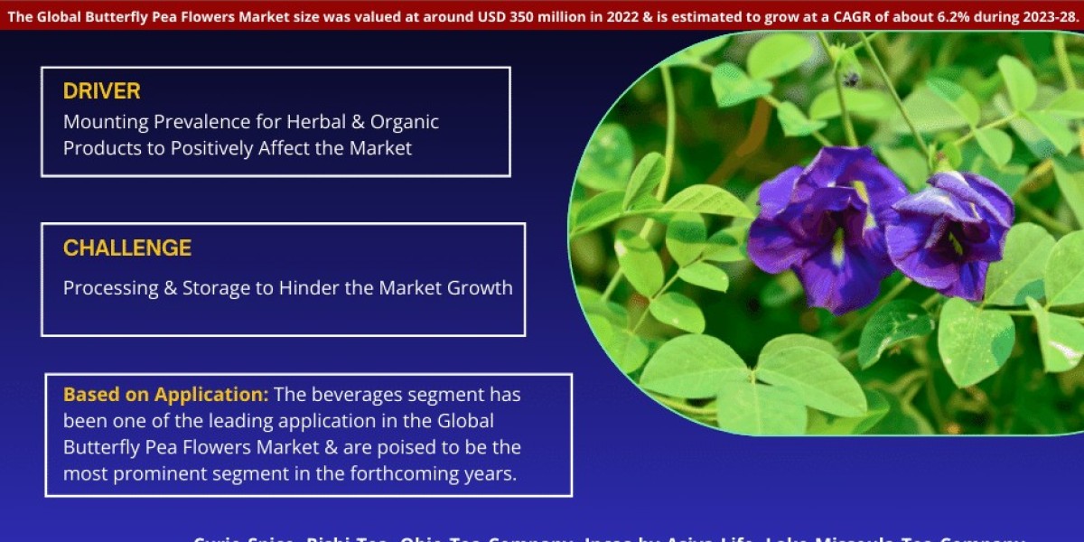 Strategic Insights into Global Butterfly Pea Flowers Market: Share, Size, and Forecast 2028