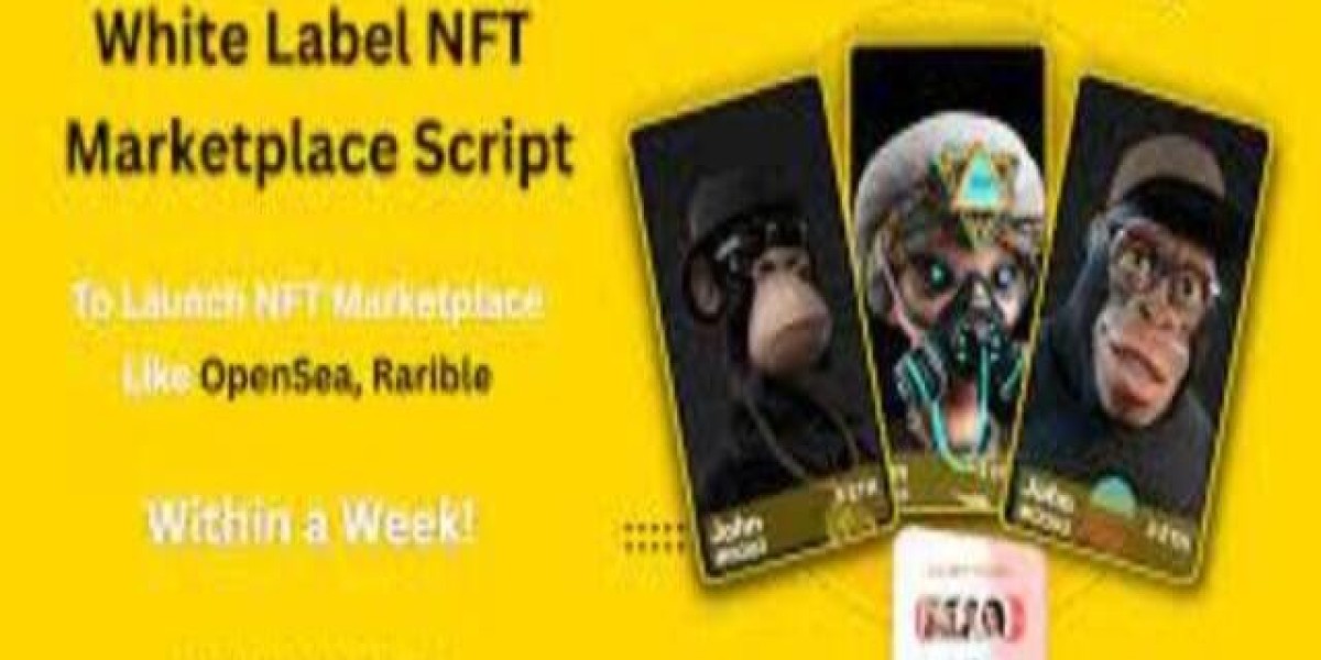 How to Build Your Own NFT Marketplace: A Complete Script Guide