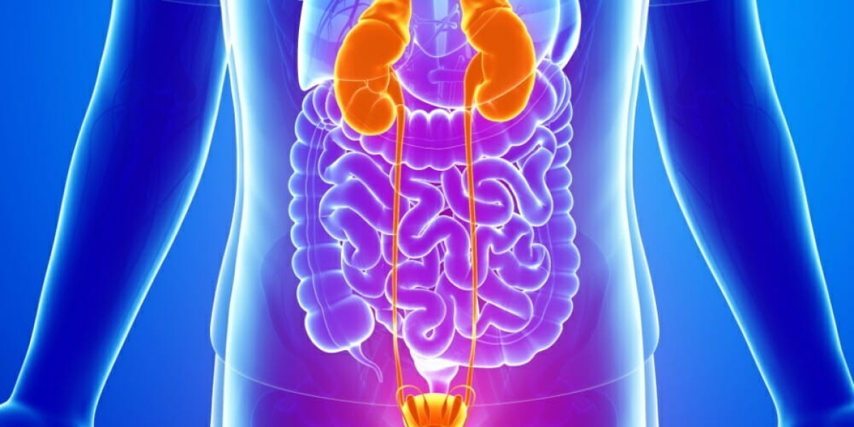 The Urinary Tract Infection Therapeutic Market is estimated to witness high growth owing to trends of Increasing prevale