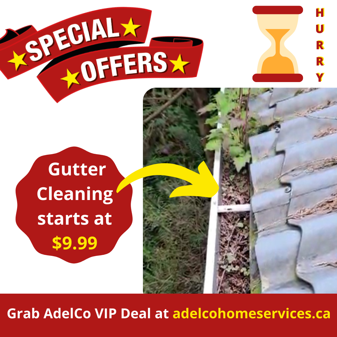 Gutter Cleaning Service British Columbia at $9.99 Per Month