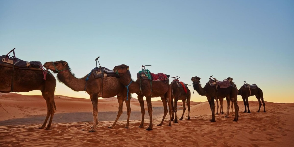 Топ забележителности, които да посетите по време на почивката си в Тунис
