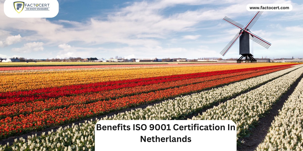 Benefits of ISO 9001 Certification in Netherlands