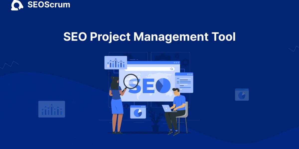 Elevate Your SEO Game with the Ultimate Client-Tailored Management Toolkit